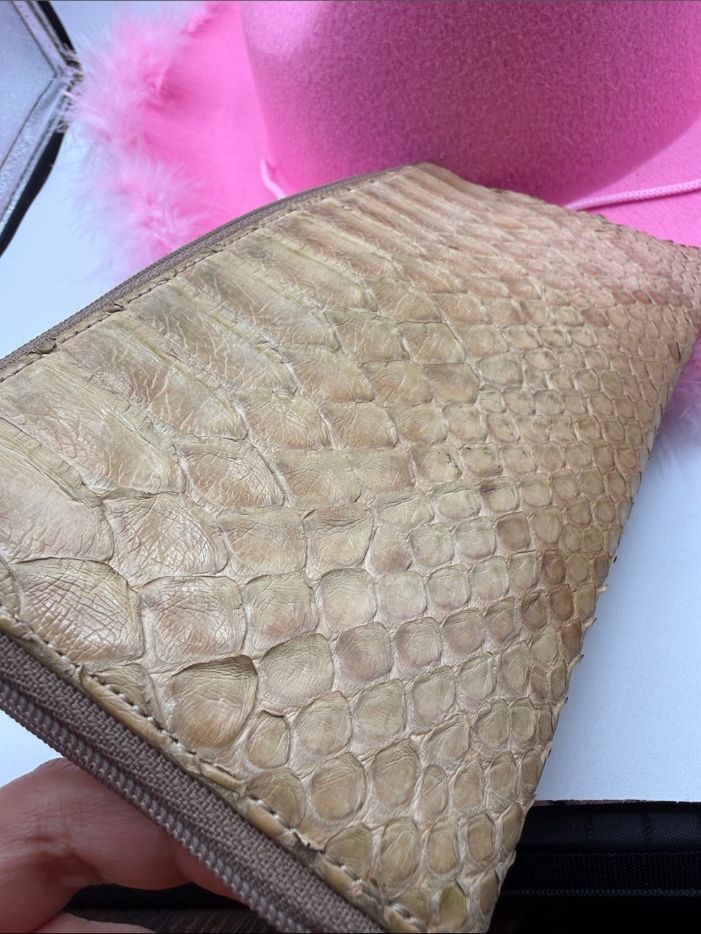 ATAO Gold Leaf Python - Picture 16 of 16